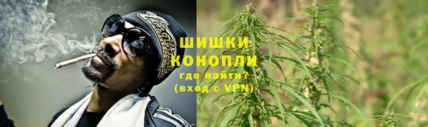 хмурый Горняк