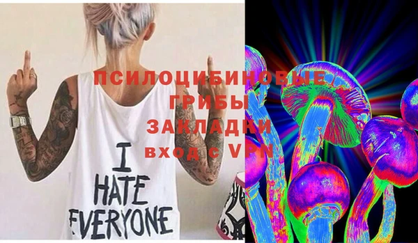 хмурый Горняк